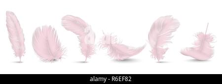 Vector 3d Realistische verschiedene Fallen rosa Flauschige Twirled Feder Set Closeup isoliert auf weißem Hintergrund. Design Template, Clipart von Engel oder Vogel detaillierte Feder in verschiedenen Formen Stock Vektor