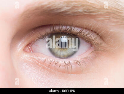 Goregeous closeup Schuß von menschlichen Augen Stockfoto