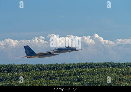 McDonnell-Douglas f- 15 Eagle zu nehmen. Homestead. Florida. USA. Stockfoto