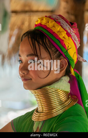 Frau aus dem langen Hals Padaung Hill Tribe, Tha Tonne, Provinz Chiang Mai, Thailand Stockfoto