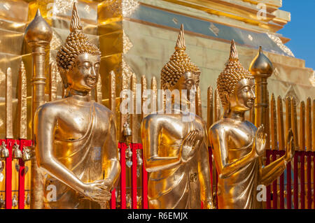 Reihe von Goldenen Buddhas im Wat Prathat Doi Suthep, Chiang Mai, Thailand Stockfoto