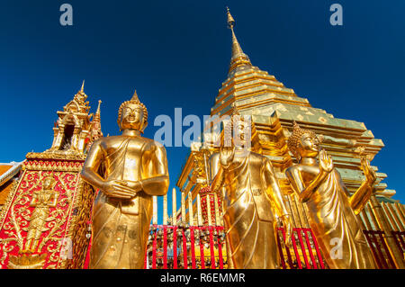 Golden Buddha Statuen und eine Goldene Pagode oder Chedi, Wat Phra That Doi Suthep, Chiang Mai, Thailand Stockfoto