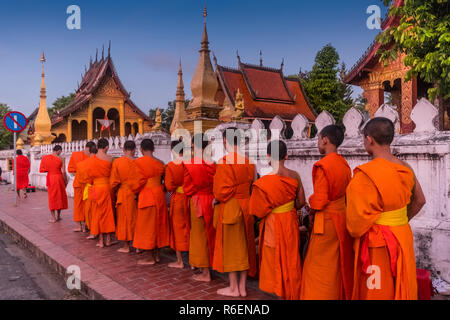 Junge Mönche in der Alms Preisverleihung Vor dem Wat Sene, Luang Prabang, Laos Stockfoto