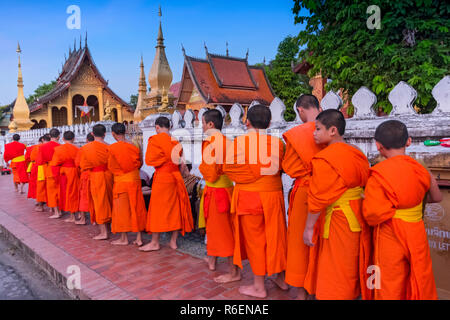 Junge Mönche in der Alms Preisverleihung Vor dem Wat Sene, Luang Prabang, Laos Stockfoto