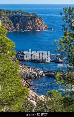 Nettes Detail aus Costa Brava Küsten in Spanien, La Fosca Stockfoto