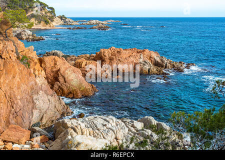 Nettes Detail aus Costa Brava Küsten in Spanien, La Fosca Stockfoto