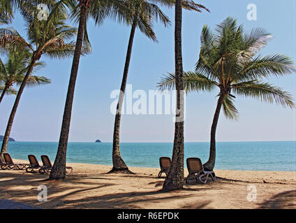 Der Strand gut in Palm Cove an der Coral Sea coast nördlich von Cairns Stadt, Far North Queensland, Australien Stockfoto