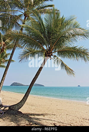 Der Strand gut in Palm Cove an der Coral Sea coast nördlich von Cairns Stadt, Far North Queensland, Australien Stockfoto