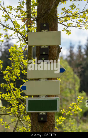 Leere touristische Wegweiser im Wald Stockfoto