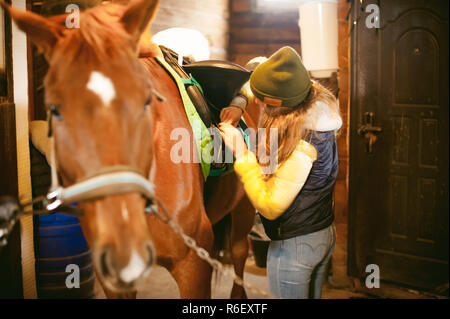 Weibliche Rider Züge das Pferd aus dem Stall Stockfoto