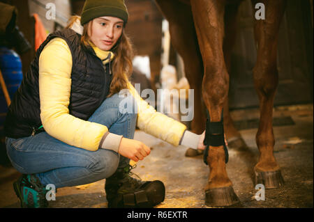 Junge Frau Reiter seit ein Pferd im Stall, für die Abreise vorzubereiten Stockfoto