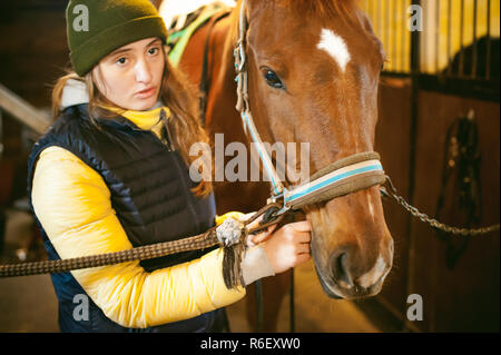 Junge Frau Reiter seit ein Pferd im Stall, für die Abreise vorzubereiten Stockfoto