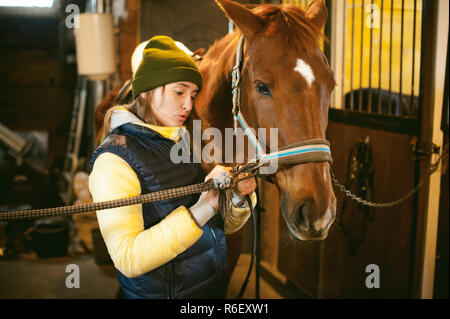 Junge Frau Reiter seit ein Pferd im Stall, für die Abreise vorzubereiten Stockfoto