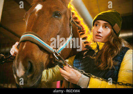 Junge Frau Reiter seit ein Pferd im Stall, für die Abreise vorzubereiten Stockfoto