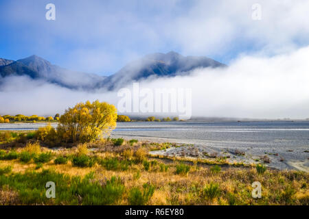 Gelbe Wald und Fluss in Neuseeland Berge Stockfoto