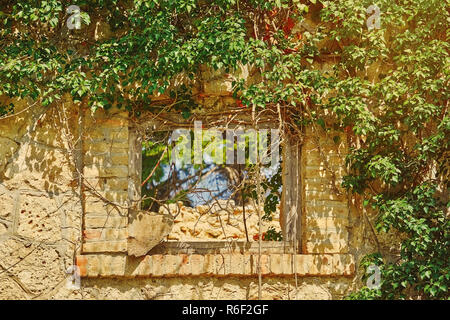 Fenster eines alten Gebäudes Stockfoto