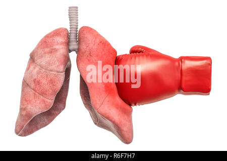 Schmerzen in der Lunge, Lungen Krankheit Konzept. Menschliche lungen mit Boxhandschuh. 3D-Rendering auf weißem Hintergrund Stockfoto