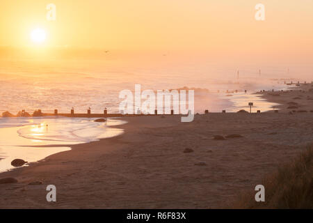 Norfolk coast sunrise mit vielen Dichtungen Stockfoto