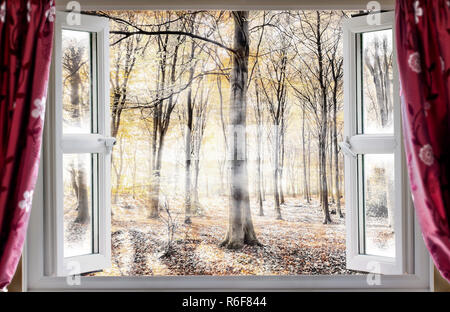 Misty woodland Obwohl ein offenes Fenster Stockfoto