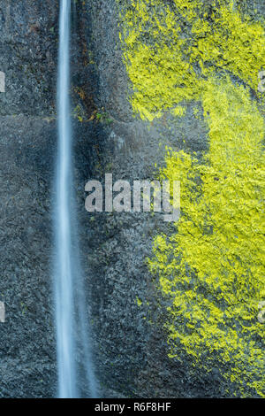 Latourell Falls, 224 Fuß in der Höhe, Multnomah Co., Oktober, Oregon, USA, von Dominique Braud/Dembinsky Foto Assoc Stockfoto