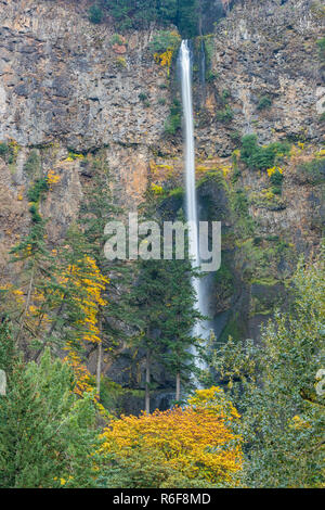 Multnomah Falls, 630 Fuß in der Höhe, Herbst, Multnomah County, USA, von Dominique Braud/Dembinsky Foto Assoc Stockfoto