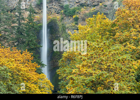 Multnomah Falls, 630 Fuß in der Höhe, Herbst, Multnomah County, USA, von Dominique Braud/Dembinsky Foto Assoc Stockfoto