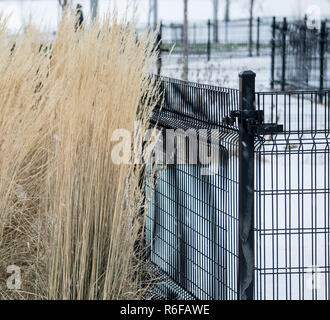 Winter Szenen von Downtown Calgary Stockfoto