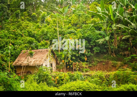 Holz Bambus Hütte im Dschungel Stockfoto