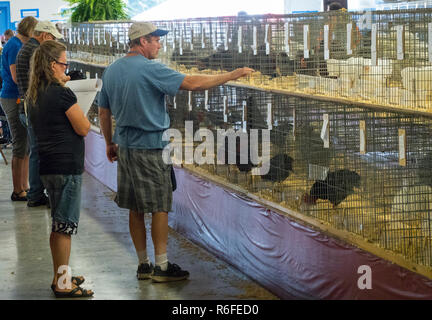 Lebanon County Fair Pennsylvania Stockfoto