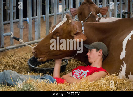 Lebanon County Fair Pennsylvania Stockfoto