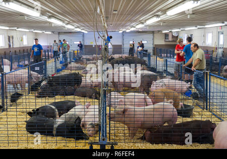 Lebanon County Fair Pennsylvania Stockfoto