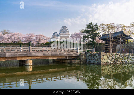 Das Schloss Himeji während der Kirschblüte blühenden Jahreszeit Stockfoto