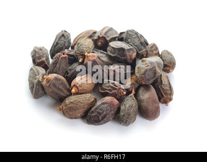 Getrocknete NEEM Früchte mit Samen, NIMODI (Azadirachta indica) auf weißem Hintergrund. Stockfoto