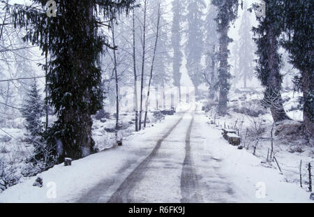 Schnee am Solang, Manali, Himachal Pradesh, Indien Stockfoto