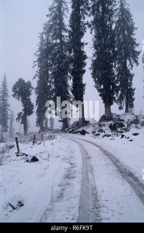 Schnee am Solang, Manali, Himachal Pradesh, Indien Stockfoto