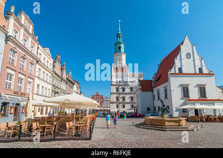 Rathaus und Neptun Brunnen auf dem Marktplatz in Poznan, Polen Stockfoto