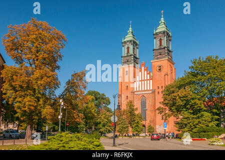 St. Peter und Paul Archicathedral Basilika auf Ostrow Tumski Insel in Poznan, Polen Stockfoto