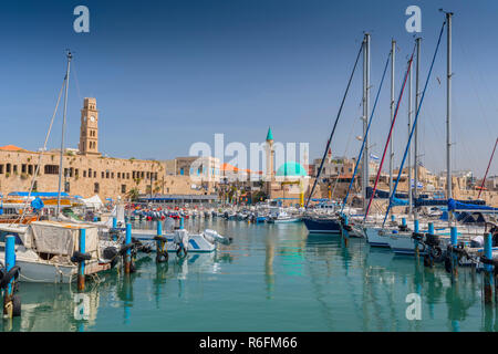 Der Alte Hafen und einem Fischereihafen in Acre (Akko), westlichen Galiläa, Israel Stockfoto