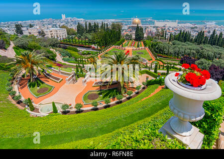 Die Bahai Gärten und Tempel, an den Hängen des Berges Karmel in Haifa, Israel Stockfoto