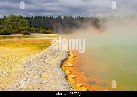 Dampfenden Wasser in der Champagne Pool, Waiotapu Thermal Reserve, Rotorua, Neuseeland Stockfoto