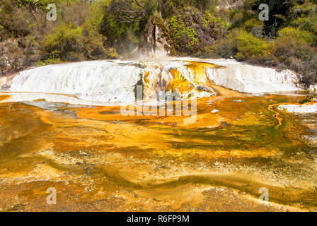 Marmor Terrasse und Strebepfeiler in Waimangu Volcanic Thermal Valley, Rotorua, Neuseeland Stockfoto