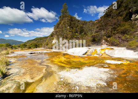 Marmor Terrasse und Strebepfeiler in Waimangu Volcanic Thermal Valley, Rotorua, Neuseeland Stockfoto