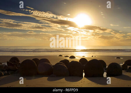 Die moeraki Boulders sind ungewöhnlich große und sphärischen Felsbrocken auf einer Strecke von Koekohe Strand auf der Wave-Cut Otago Küste von Neuseeland zw. Liegen Stockfoto