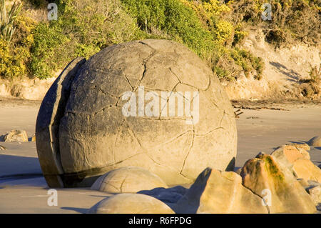 Die moeraki Boulders sind ungewöhnlich große und sphärischen Felsbrocken auf einer Strecke von Koekohe Strand auf der Wave-Cut Otago Küste von Neuseeland zw. Liegen Stockfoto