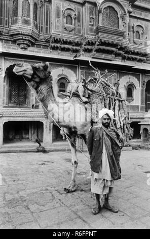 Kamelhirte, Jaisalmer, Rajasthan, Indien, alter Jahrgang 1900s Bild Stockfoto