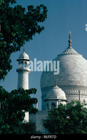 Kuppel des Taj Mahal 7 Wunder der Welt, Agra, Uttar Pradesh, Indien Stockfoto