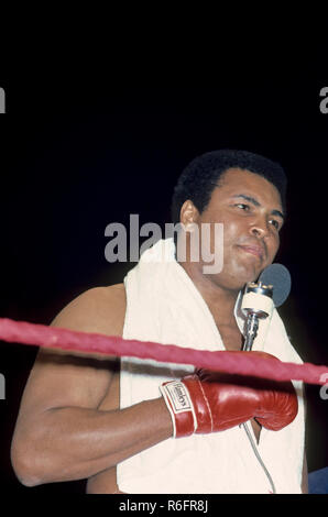 Muhammad Ali, Cassius Marcellus Clay, amerikanischer Boxer, Aktivist, Philanthropist, Nickname, der Größte, Stockfoto