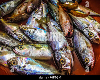 Nahaufnahme von verschiedenen Arten von Fischen und Meeresfrüchten in der Fischmarkt im südlichen Indien verkauft Stockfoto