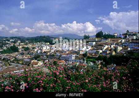 Coonoor, Kunnoor, Nilgiris District, Ooty, Udhagamandalam, Western Ghats, Tamil Nadu, Indien, Asien Stockfoto