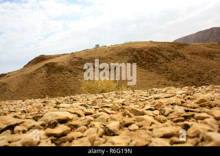 Landschaft der Wüste Negev in Israel. Stockfoto